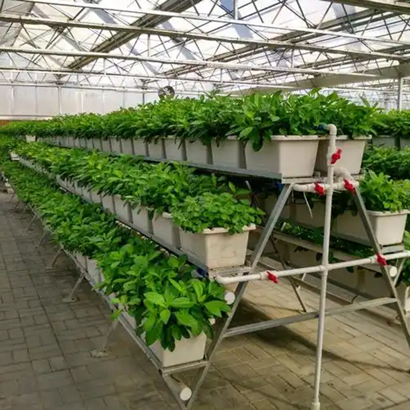 咸阳市植物工厂无土栽培 - 哪里好